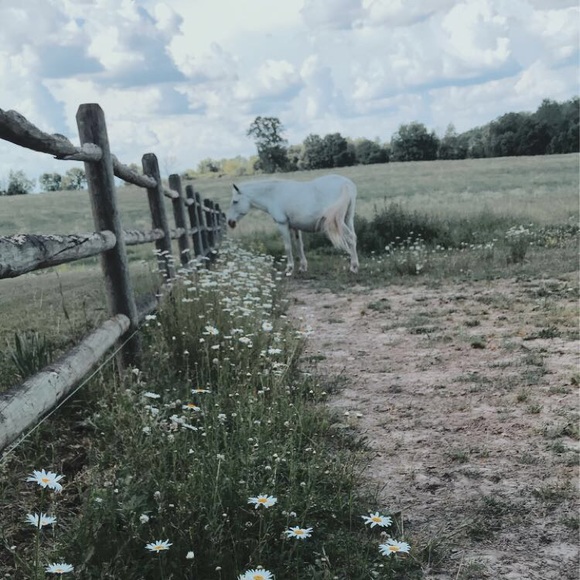 Meet your Posher, Mackenzie - Picture 1 of 1